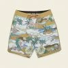 Howler Brothers Stretch Bruja Boardshorts - Irie